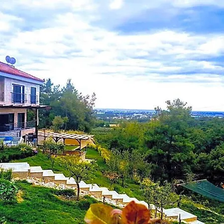 Hotel Villa15
