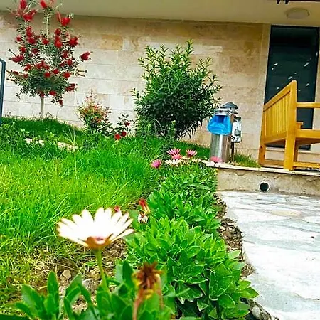 Hotel Villa15